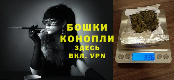 молекула духа Медногорск