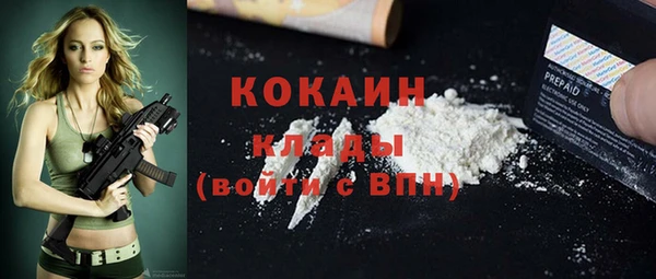 прущие грибы Александровское